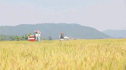 政策東風(fēng)至，農(nóng)機(jī)企業(yè)迎轉(zhuǎn)機(jī) 聚焦農(nóng)業(yè)生產(chǎn)托管服務(wù)的六大戰(zhàn)略機(jī)遇
